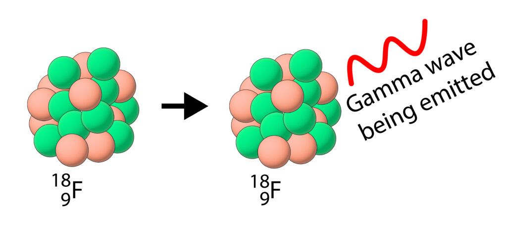 Fluorine 18 undergoing a gamma decay