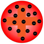 Plum pudding model of the atom, proposed by JJ Thomson