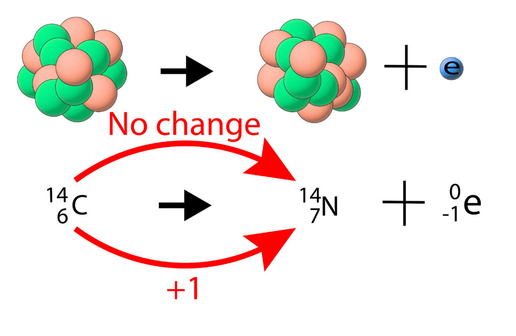 Beta decay of carbon 14 to nitrogen 14