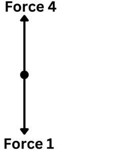 Free body diagram for a box on a table, showing the forces acting on the box