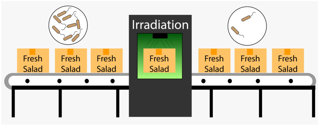 Irradiation of salad to kill bacteria