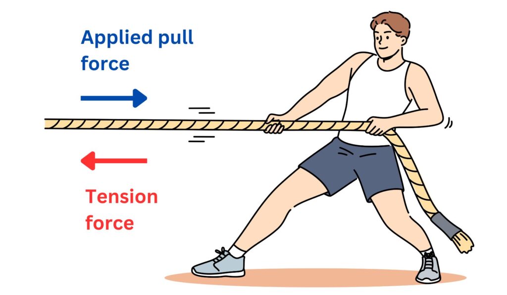 Man pulling on a rope with an applied pull force. In response the rope exerts a tension force in the opposite direction