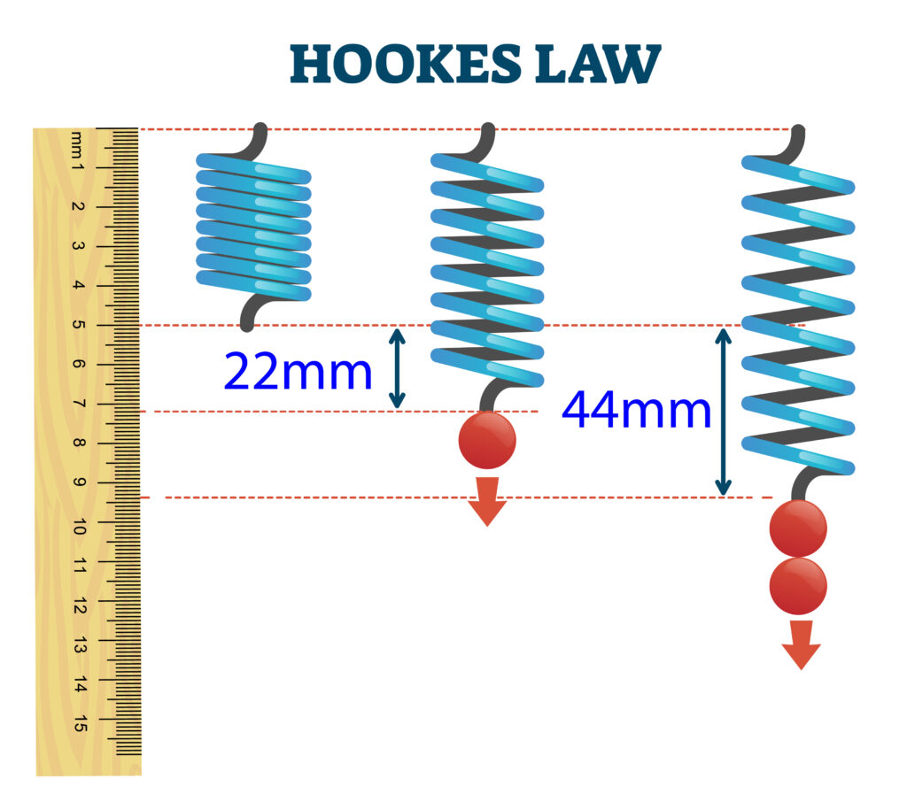 Hooke's law to show extension of a spring