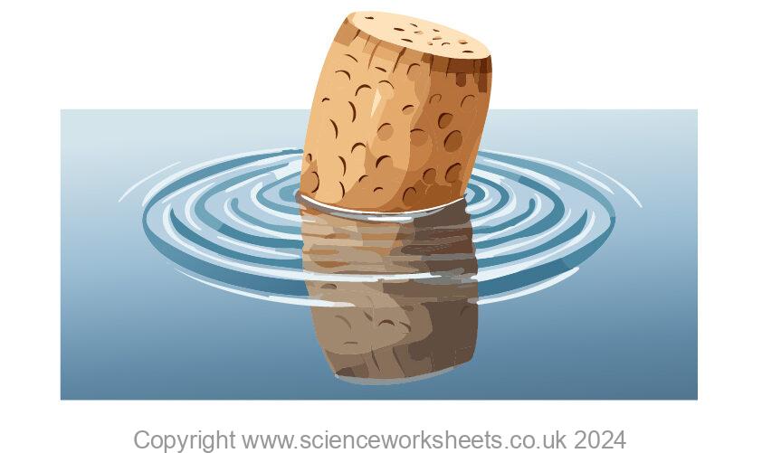 Cork bobbing up and down, creating water waves