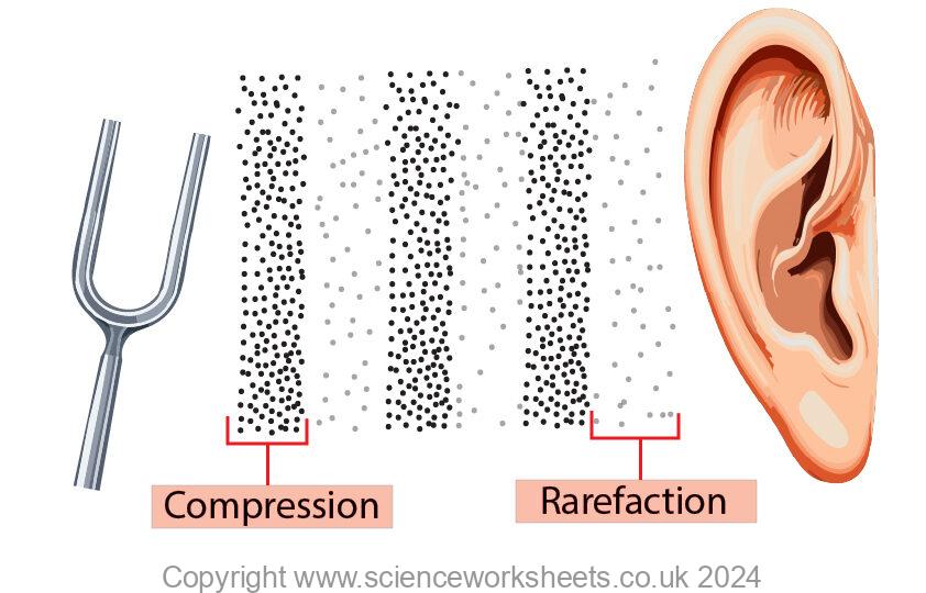 tuning fork producing a sound wave with compressions and rarefactions