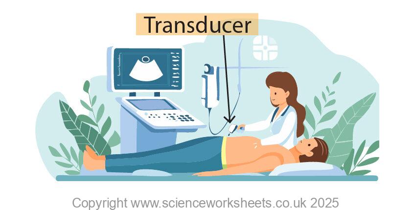 Ultrasound image of a hospital worker using a transducer of an ultrasound unit on a patient