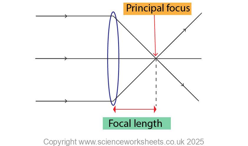 Lens ray diagram for a converging or convex lens, showing the light rays converging at the principal focus