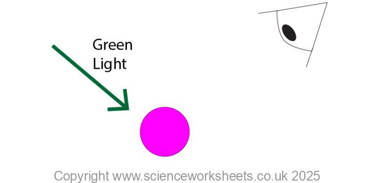 AQA GCSE Seeing Coloured Objects Part 2 - Science Worksheets