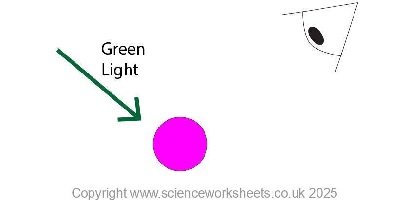 Green light shining onto a magenta ball. The magenta ball absorbs all of the wavelengths due to green light and reflects none, so it appears black