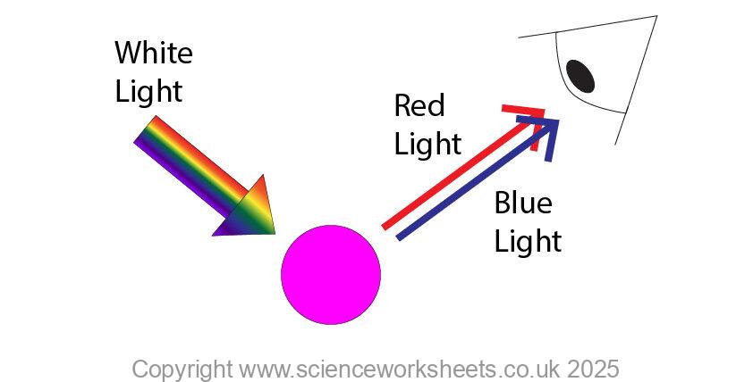 white light striking a ball, all the wavelengths except red and blue being absorbed. Red and blue are reflected into the person's eyes