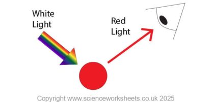 AQA GCSE Seeing Coloured Objects - Science Worksheets