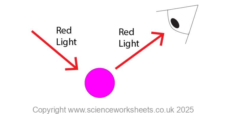 AQA GCSE Seeing Coloured Objects Part 2 - Science Worksheets