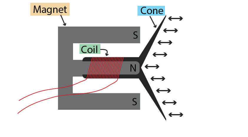 Loudspeaker using the motor effect with magnet, coil and cone
