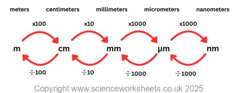 AQA GCSE Microscopes (Biology) - Science Worksheets
