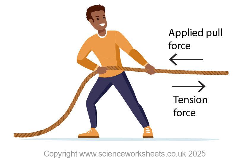 Man applying a pull force to a rope, in reaction the rope provides a reaction force called tension