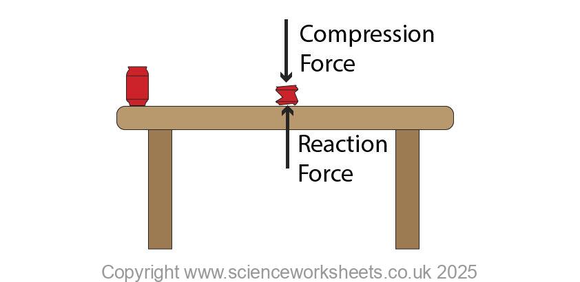 AQA GCSE Forces and Elasticity - Science Worksheets
