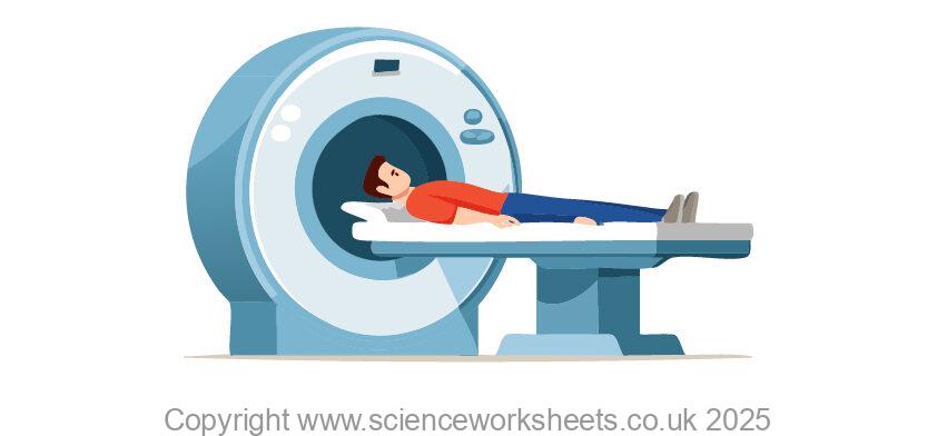 Gamma camera scan