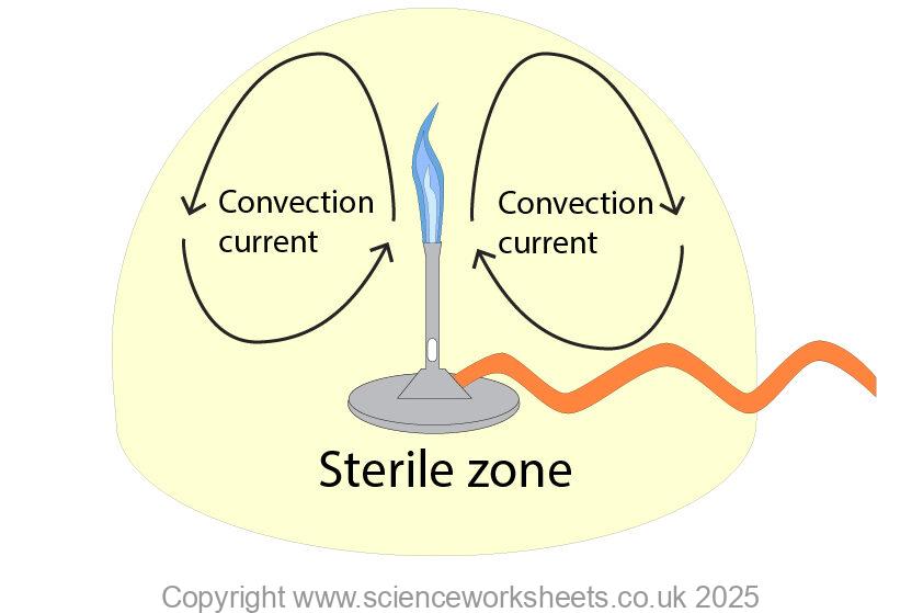 sterile zone being created by a blue bunsen flame