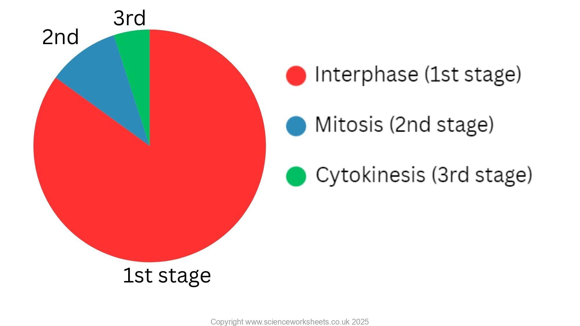 AQA GCSE Cell Cycle and Mitosis (Biology) - Science Worksheets
