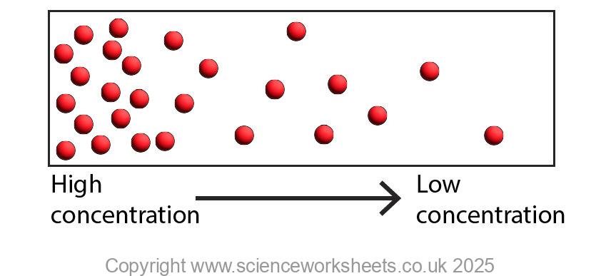 Diffusion diagram for gcse, showing particles moving from an area of high concentration to low concentration