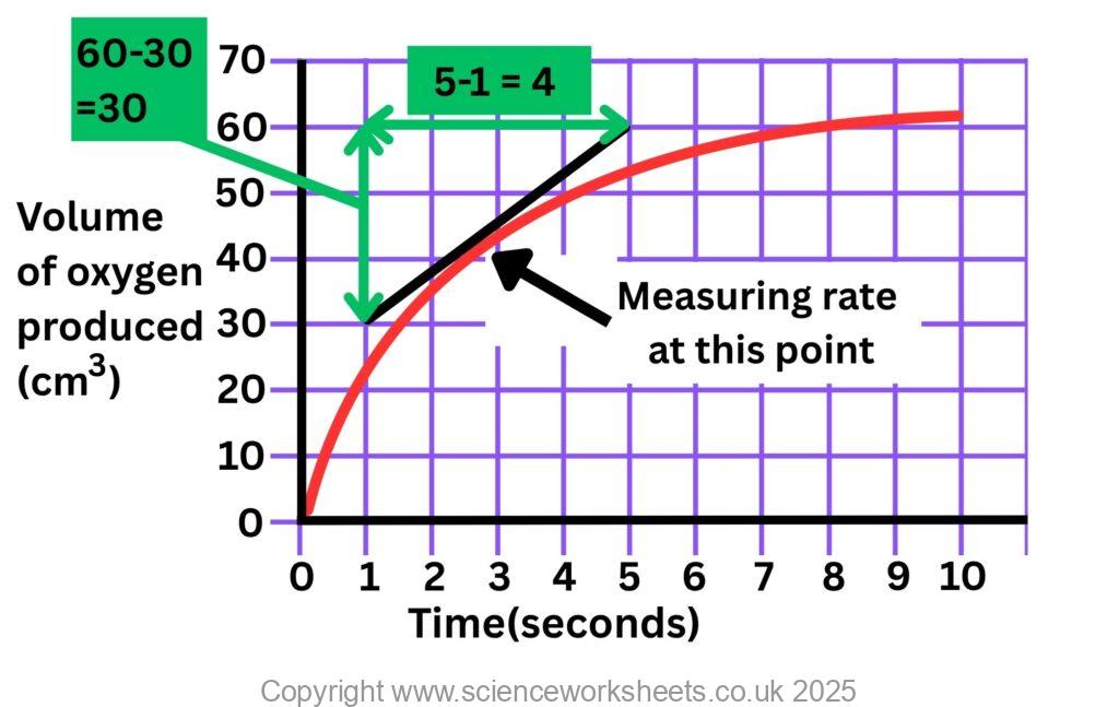 Using the gradient of an enzyme reaction graph to calculate the rate of reaction