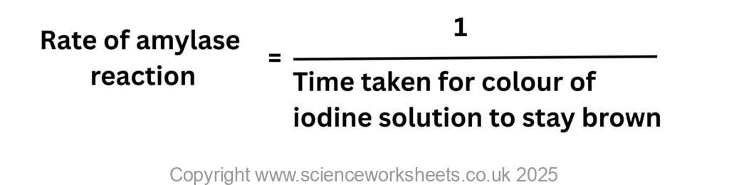 Formula to calculate the rate of amylase reaction as 1 divided by time taken