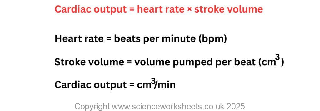 Cardiac Function Formulas AQA GCSE Rate of blood flow (Biology) - Science Worksheets