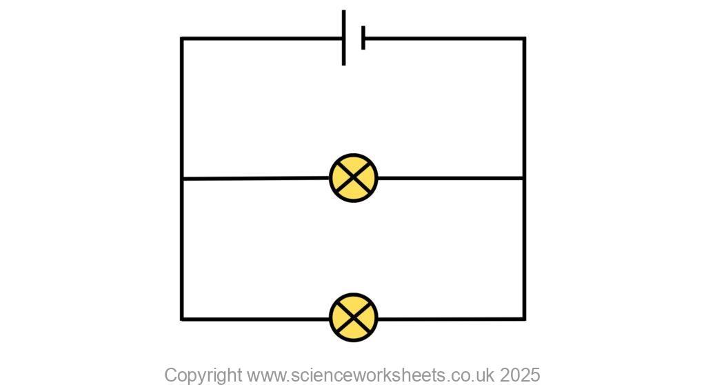 Parallel circuit with two bulbs