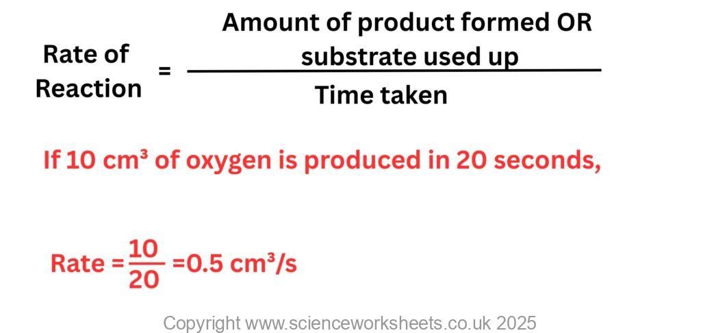 Example of how to calculate the rate of an enzyme reaction for gcse biology