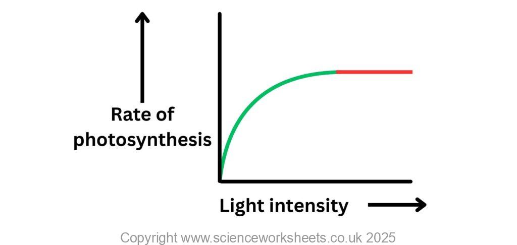 Graph to show how light intensity acts as a limiting factor on the rate of photosynthesis
