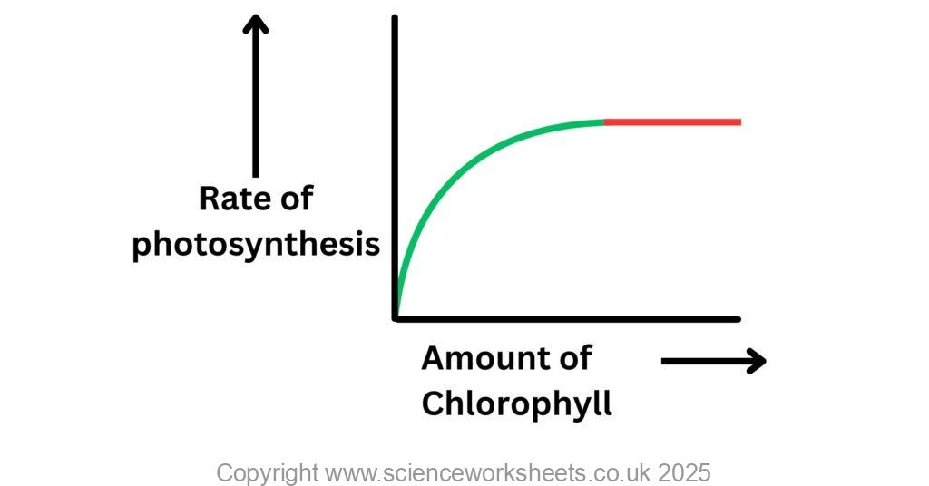 Graph to show amount of chlorophyll acting as a limiting factor for photosynthesis