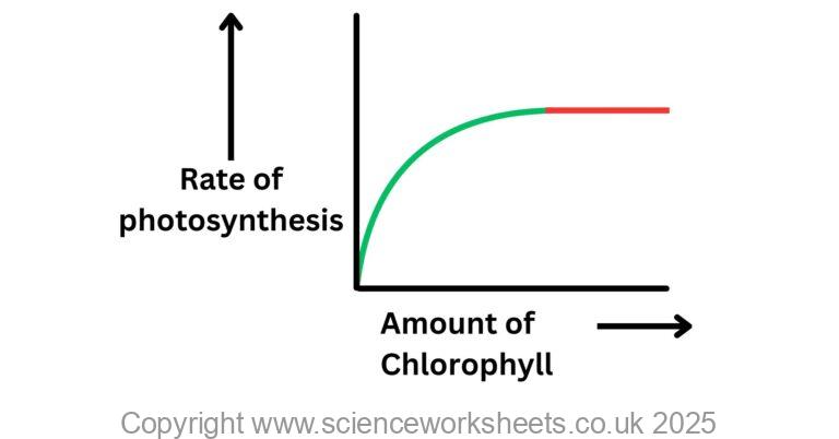 AQA GCSE Factors affecting the rate of photosynthesis (Biology ...