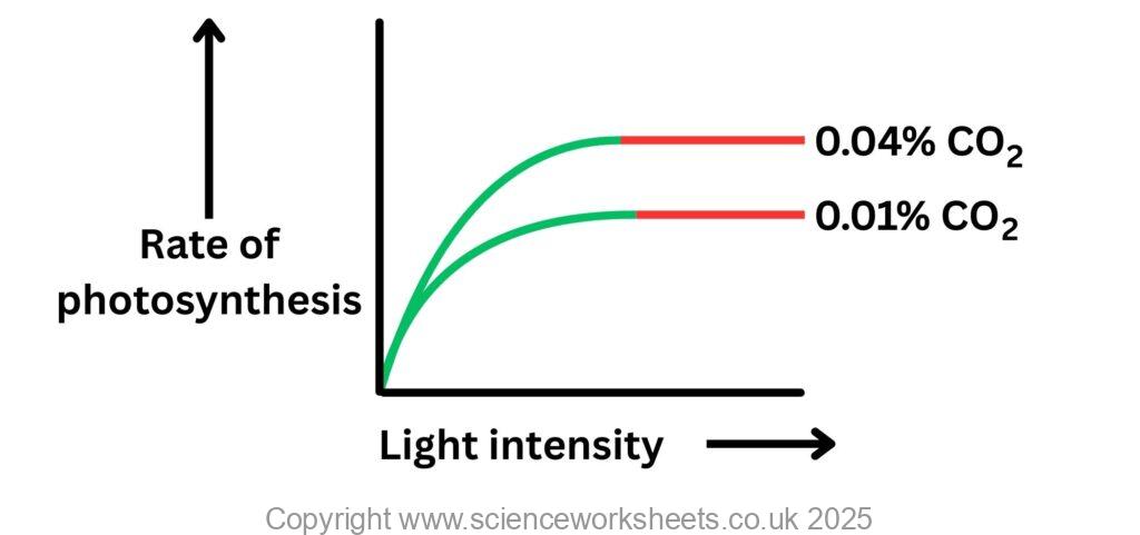 Two factor graphs for limiting factors for photosynthesis, carbon dioxide concentration and light intensity