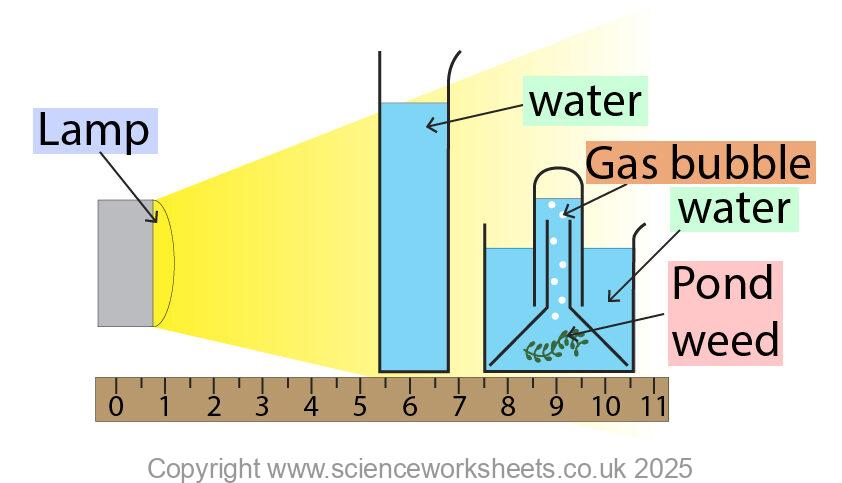 Light Intensity Practical AQA GCSE Investigating the effect of light intensity on the rate of ...