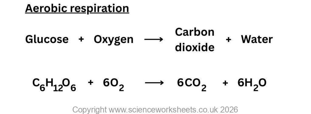 Word and symbol equations for aerobic respiration