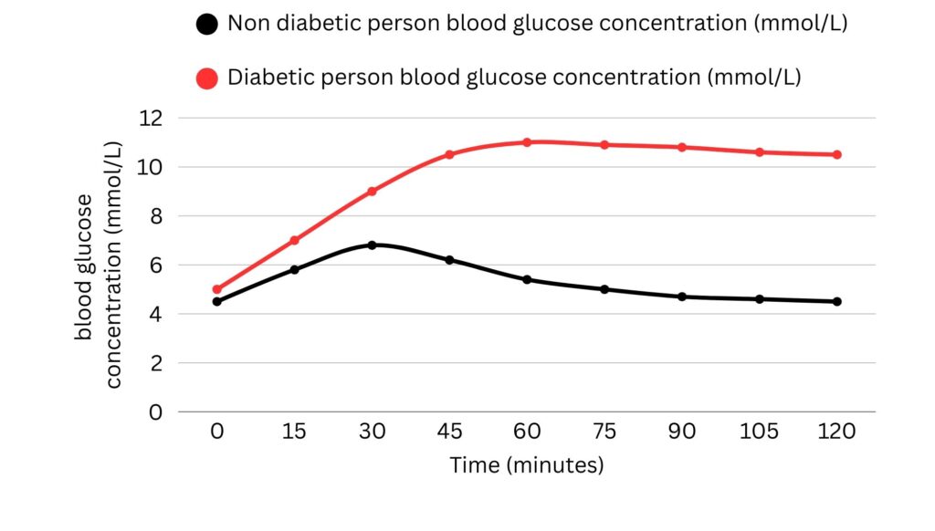 Graph of blood glucose concentration before and after a meal for a diabetic vs non diabetic person