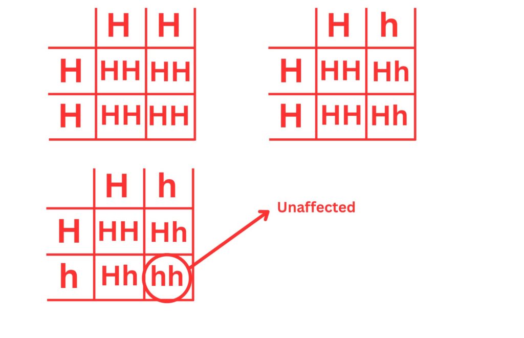 answer to pedigree diagram for huntingdons disease