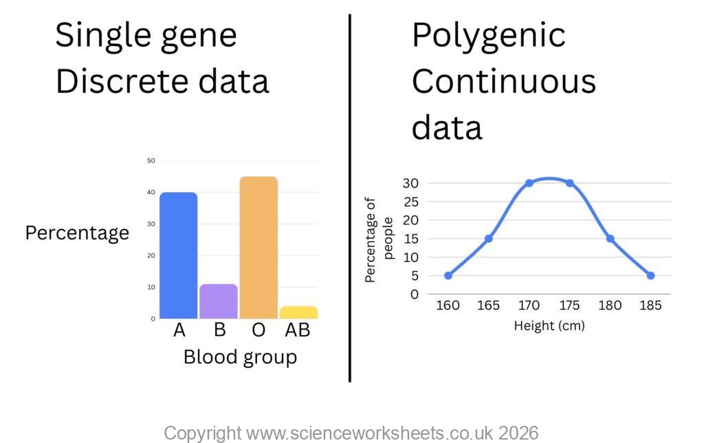 Single gene discrete data, polygenic continuous data