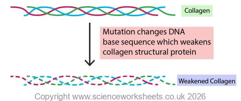 AQA GCSE Mutations(Biology) - Science Worksheets