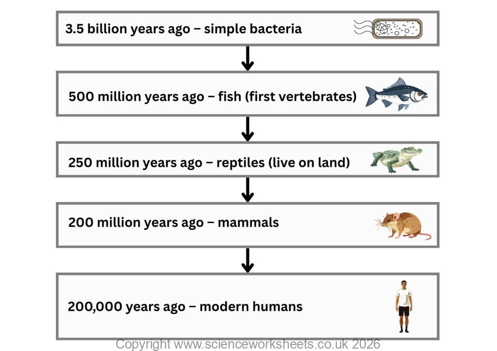 Evolutionary history of organisms on Earth