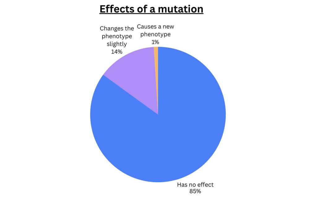 Effects of mutation on an organism