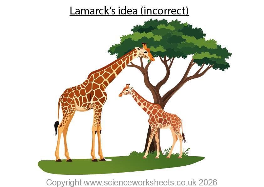 Lamarcks idea about evolution